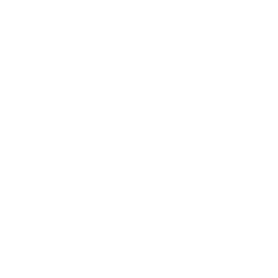 freeCodeCamp Logo